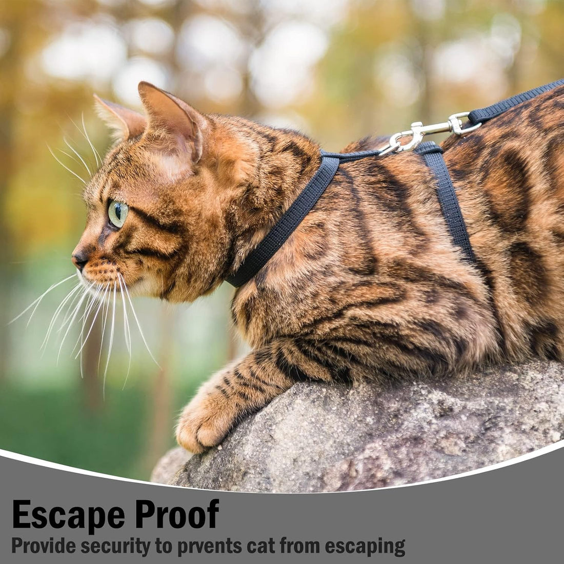 PUPTECK Adjustable Cat Harness and Leash Set Escape Proof Kitten