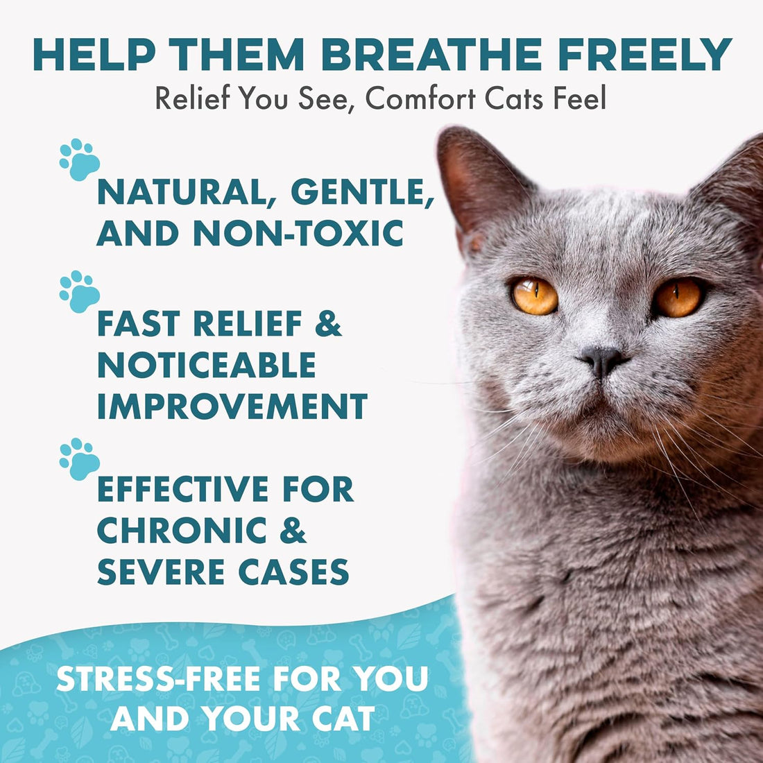 BestLife4Pets Cat Respiratory Comfort Supplement - 400 Pills
