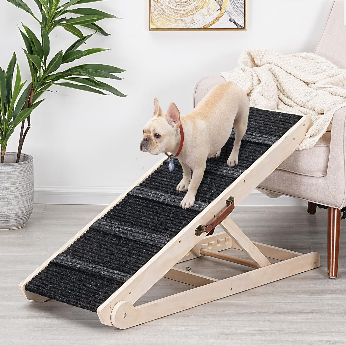 Dog Ramp for Bed - Foldable Small to Large Dog Ramp for Couch