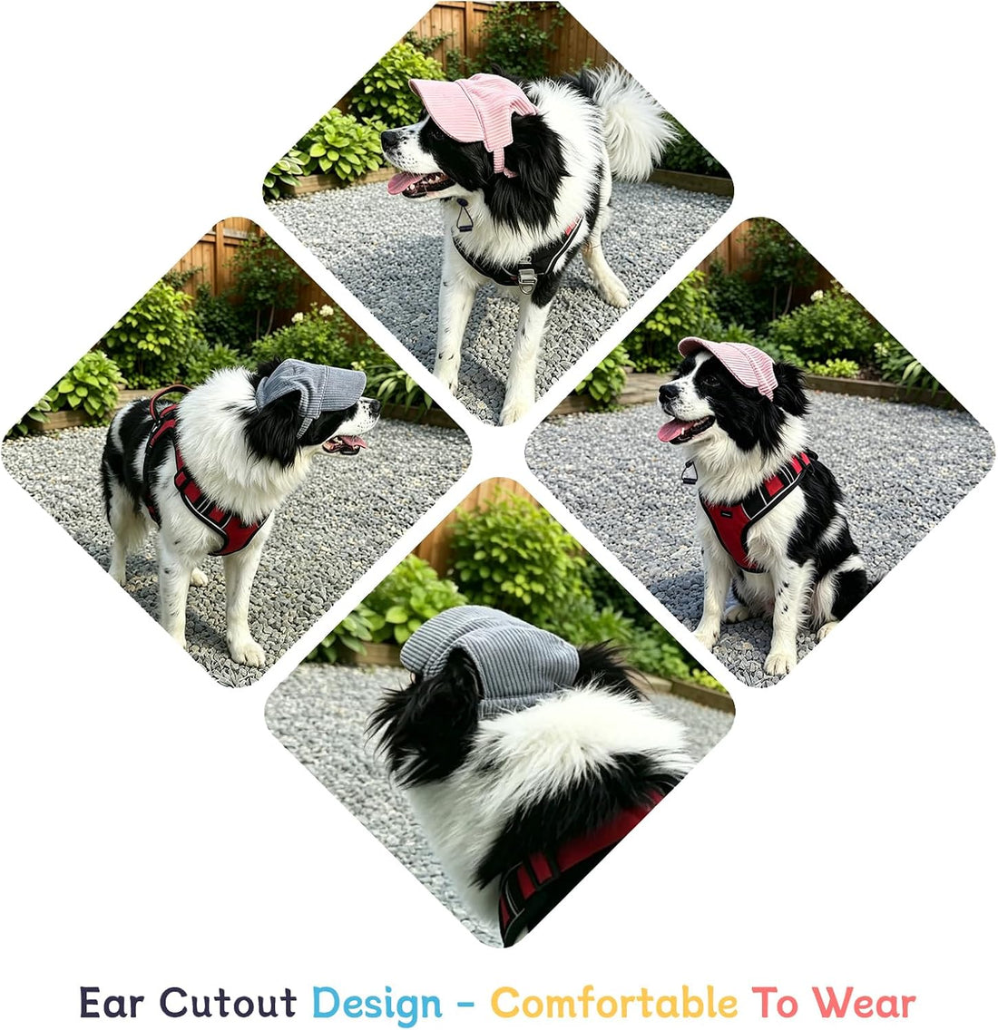 Dog Sun Hat with Ear Openings, Dog Baseball Cap with Anti-Slip Strap