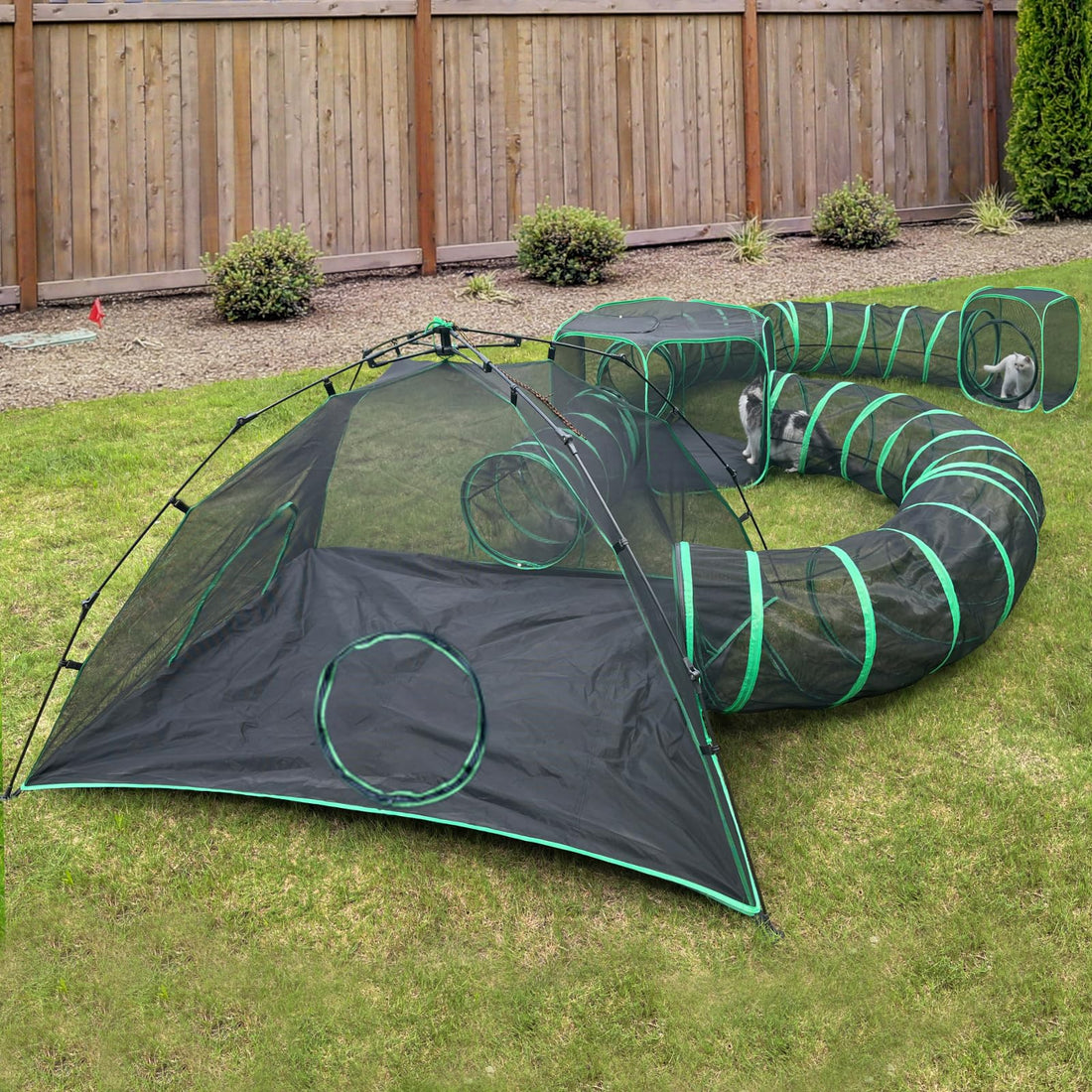 Pawtenda 6-in-1 Cat Tents for Outside
