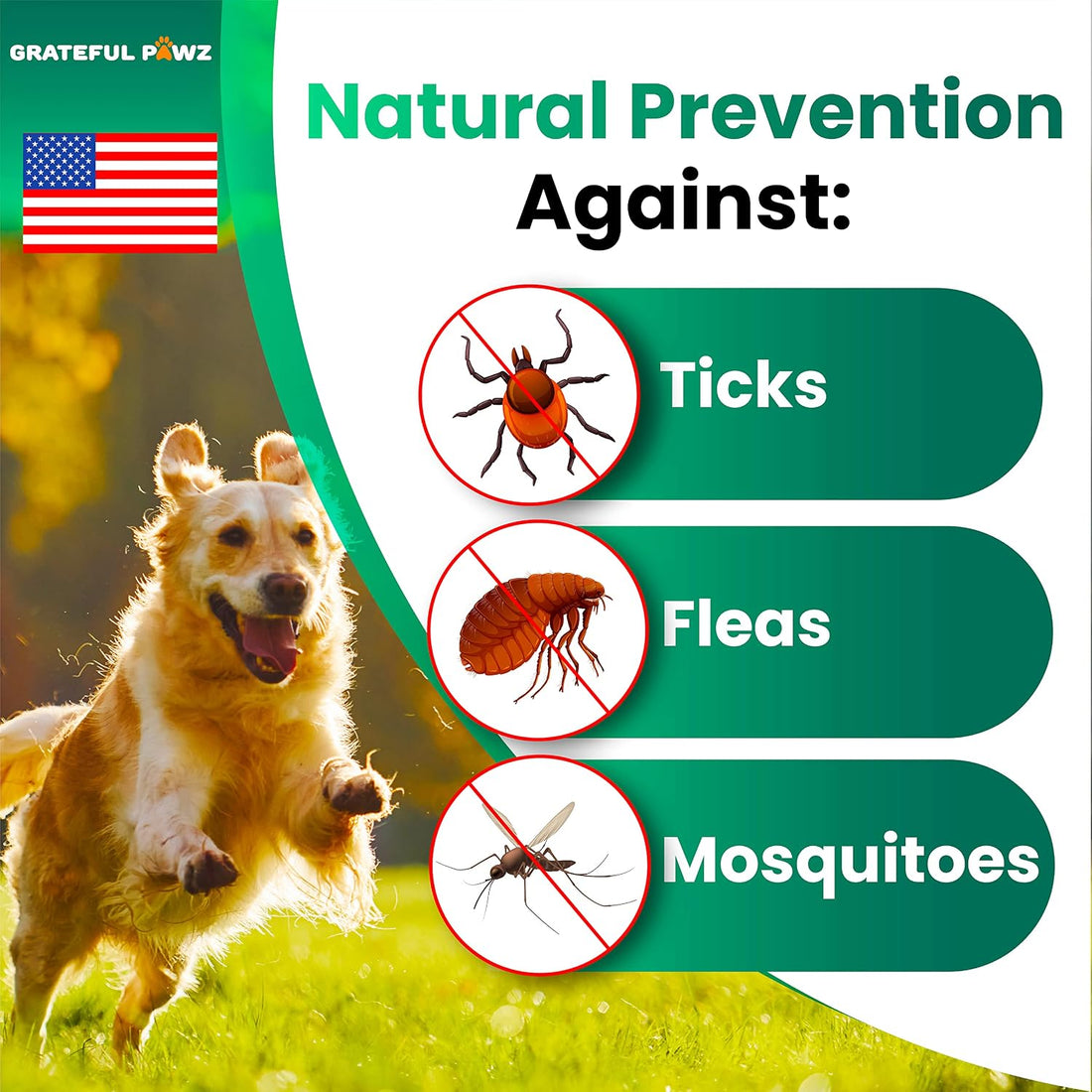 Flea and Tick Prevention for Dogs Chewables