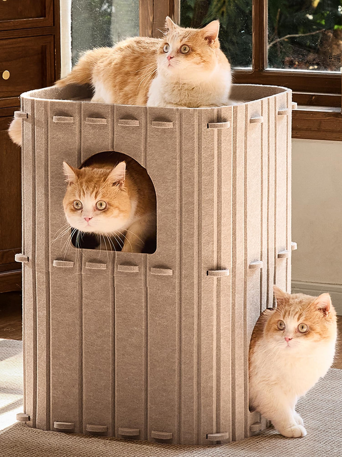 FUKUMARU Cat House for Indoor Cats