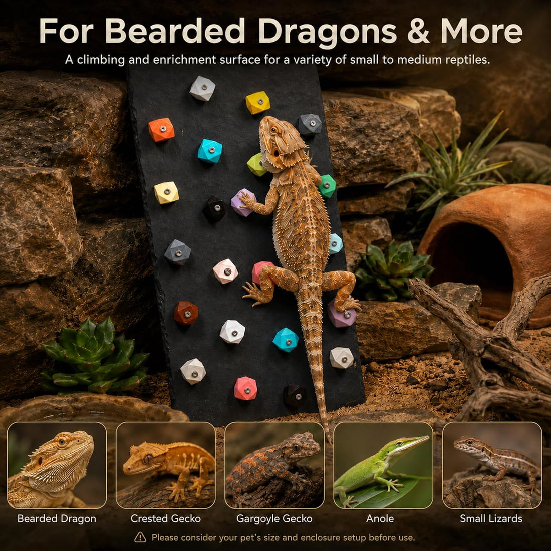 Large Bearded Dragon Climbing Wall, Natural Slate Board
