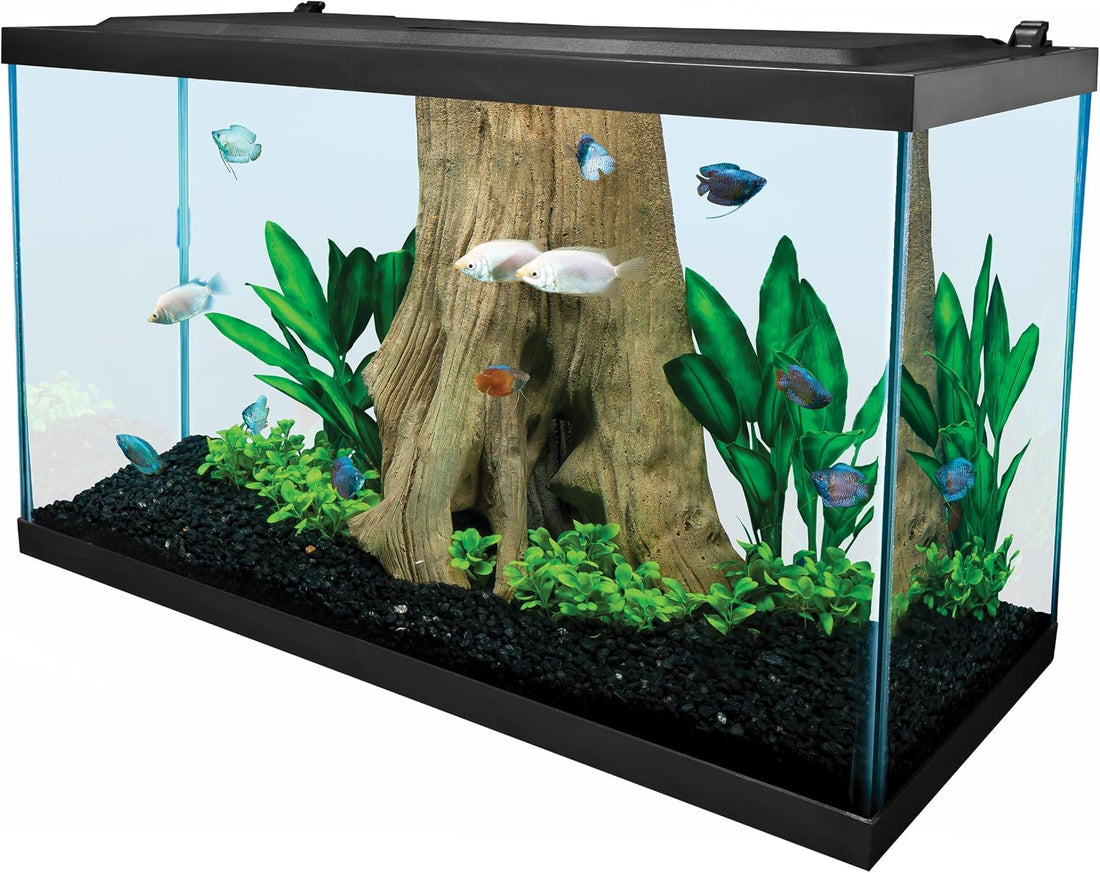 Tetra 29 Gallon Glass Aquarium, Rectangular Fish Tank