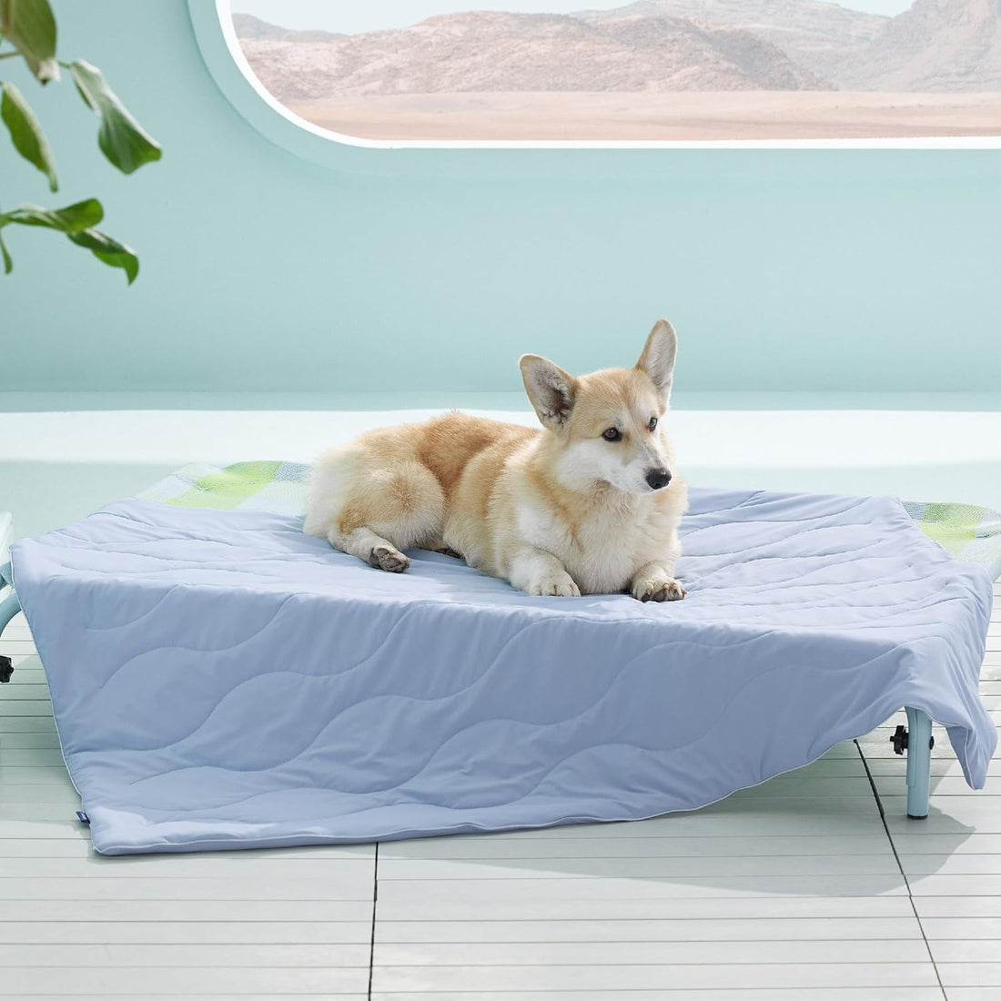 Bedsure ArcticMax™ Q-MAX>0.5 Premium Cooling Blanket for Medium
