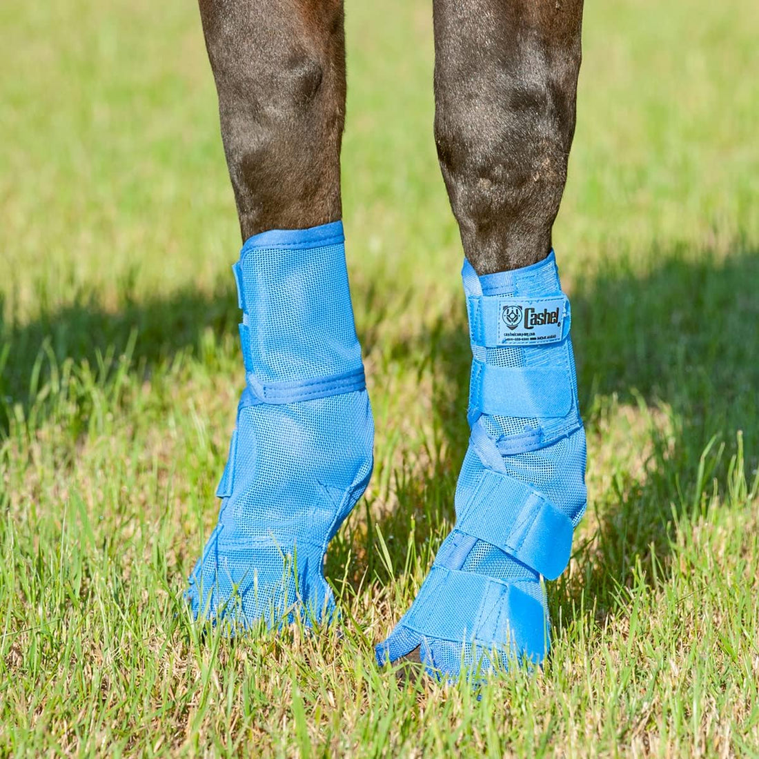 Cashel Crusader Horse Fly Leg Guards Grey Horse