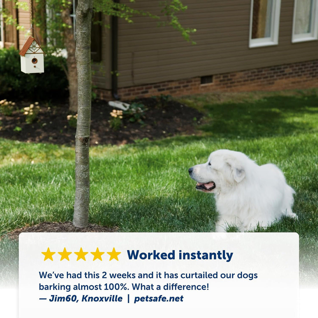 PetSafe Outdoor Bark Control, Hanging Birdhouse, Up to 1/4-Acre