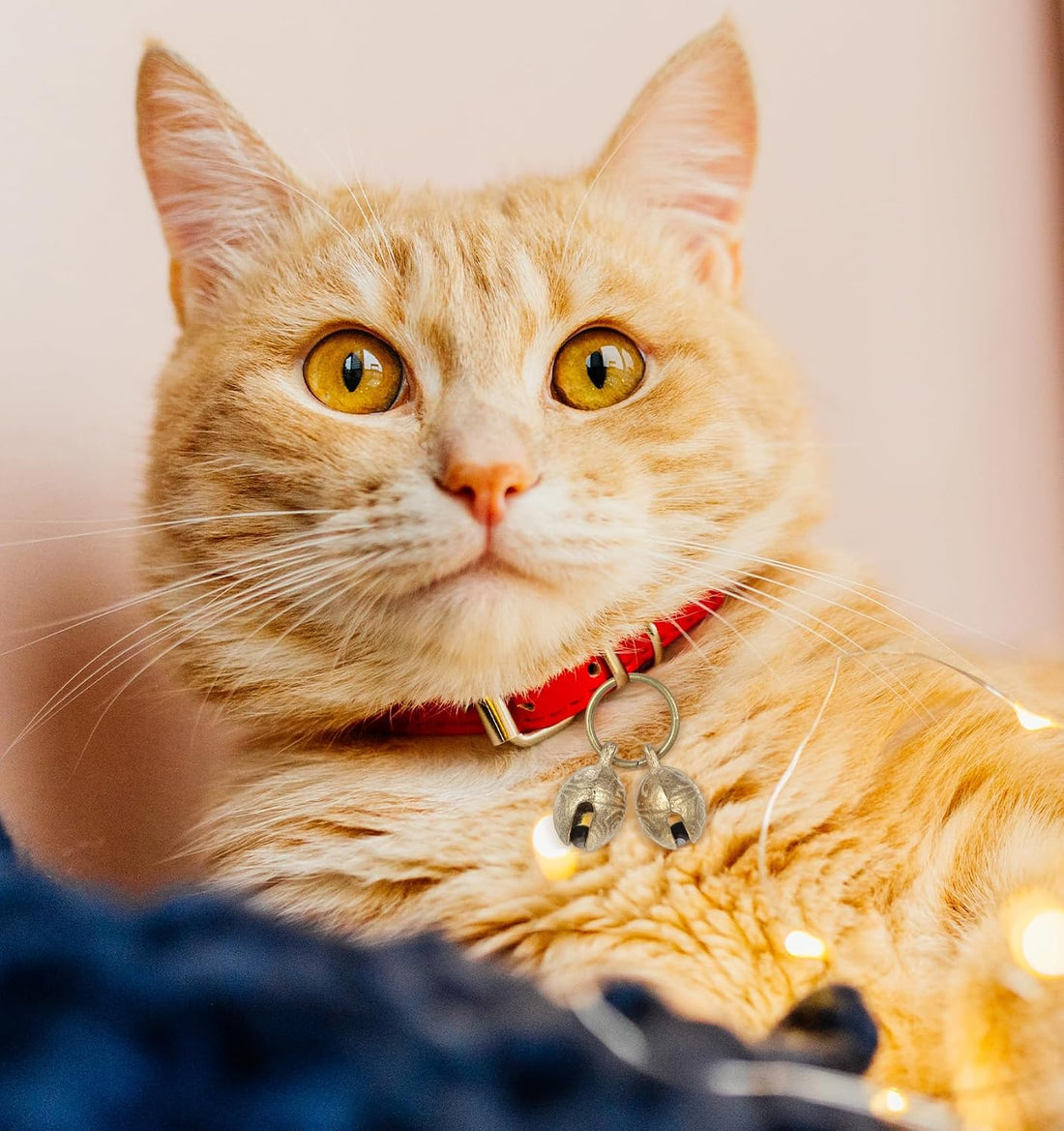 ValueBargain 4Pcs Extra Loud Bell for Cat Dog Collar