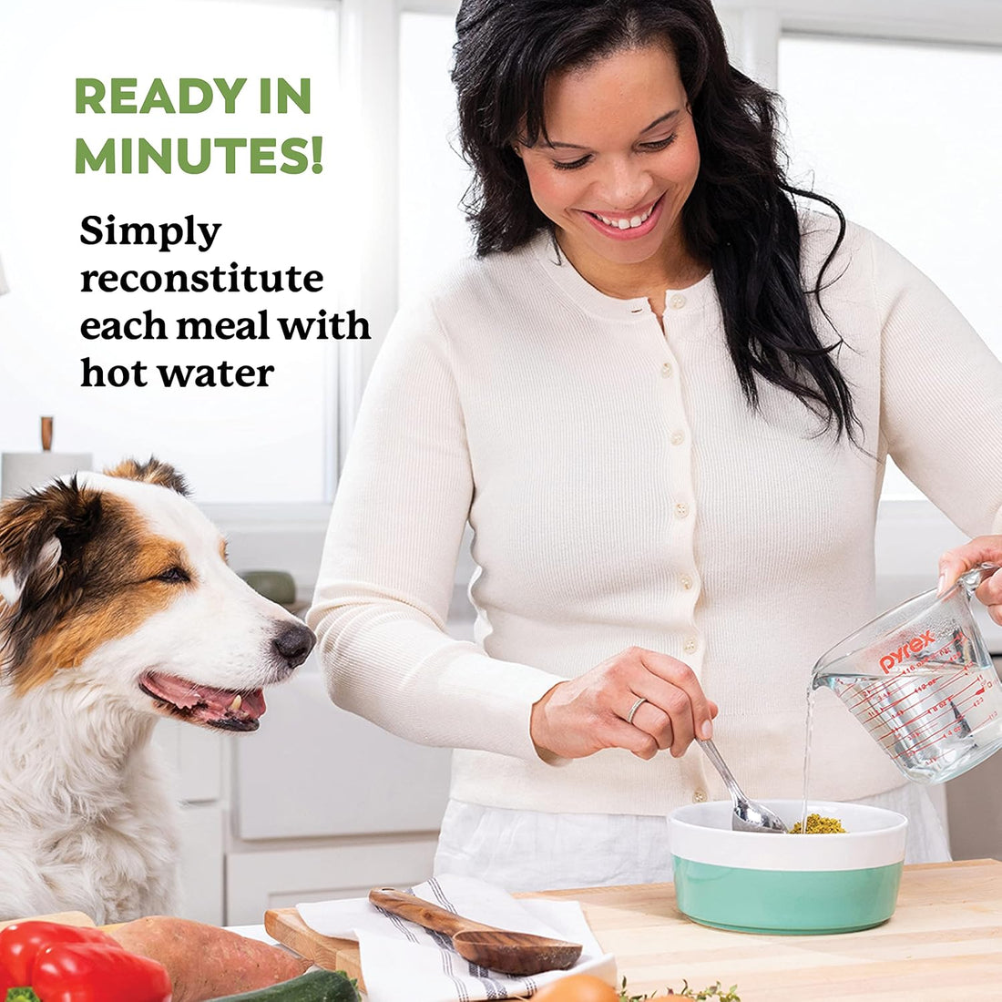 Dr. Harvey's Beef & Garden Veggies Dog Food