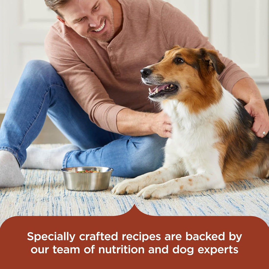 Nutrish Rachael Ray Premium Natural Wet Dog Food
