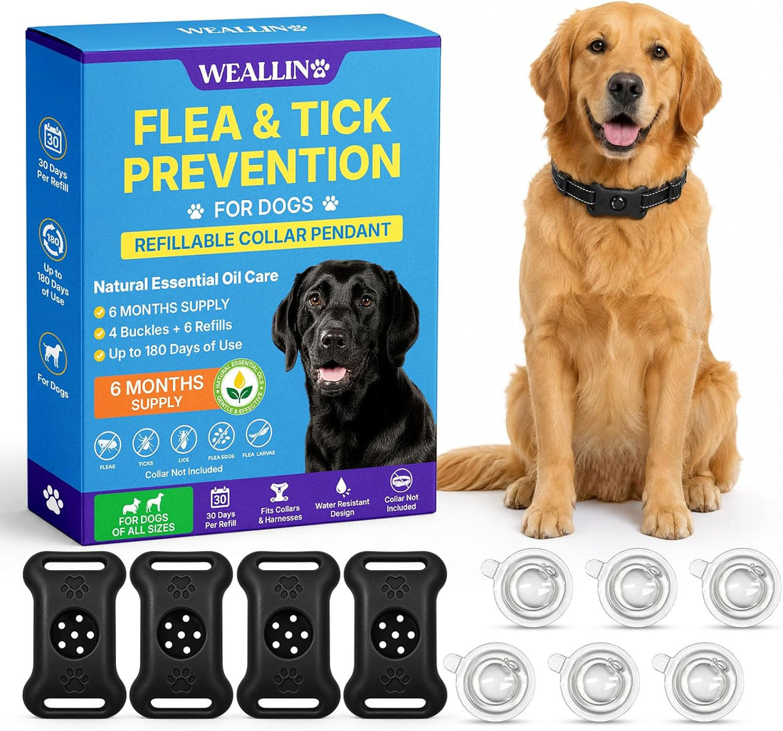 Flea Collar for Dogs, Refillable Collar Pendant 4 Clips + 6 Refills