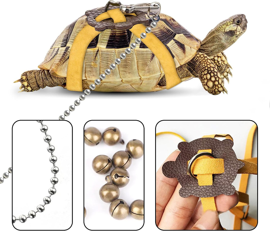 Pet Tortoise Leather Harness & Leash - Small Tortoise Supplies