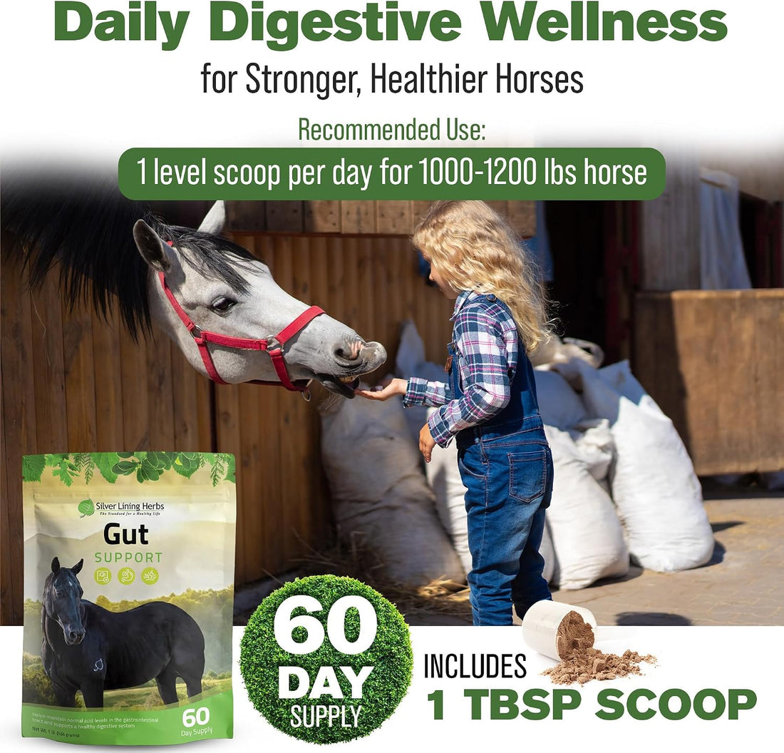 Silver Lining Herbs Gut Support Supplement for Horses - 1 lb