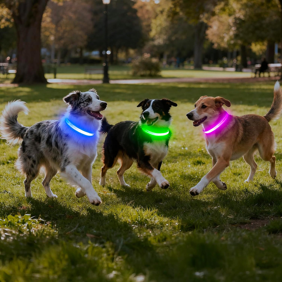 VIZPET LED Dog Collar, Light up Dog Collar Adjustable Safety Glow