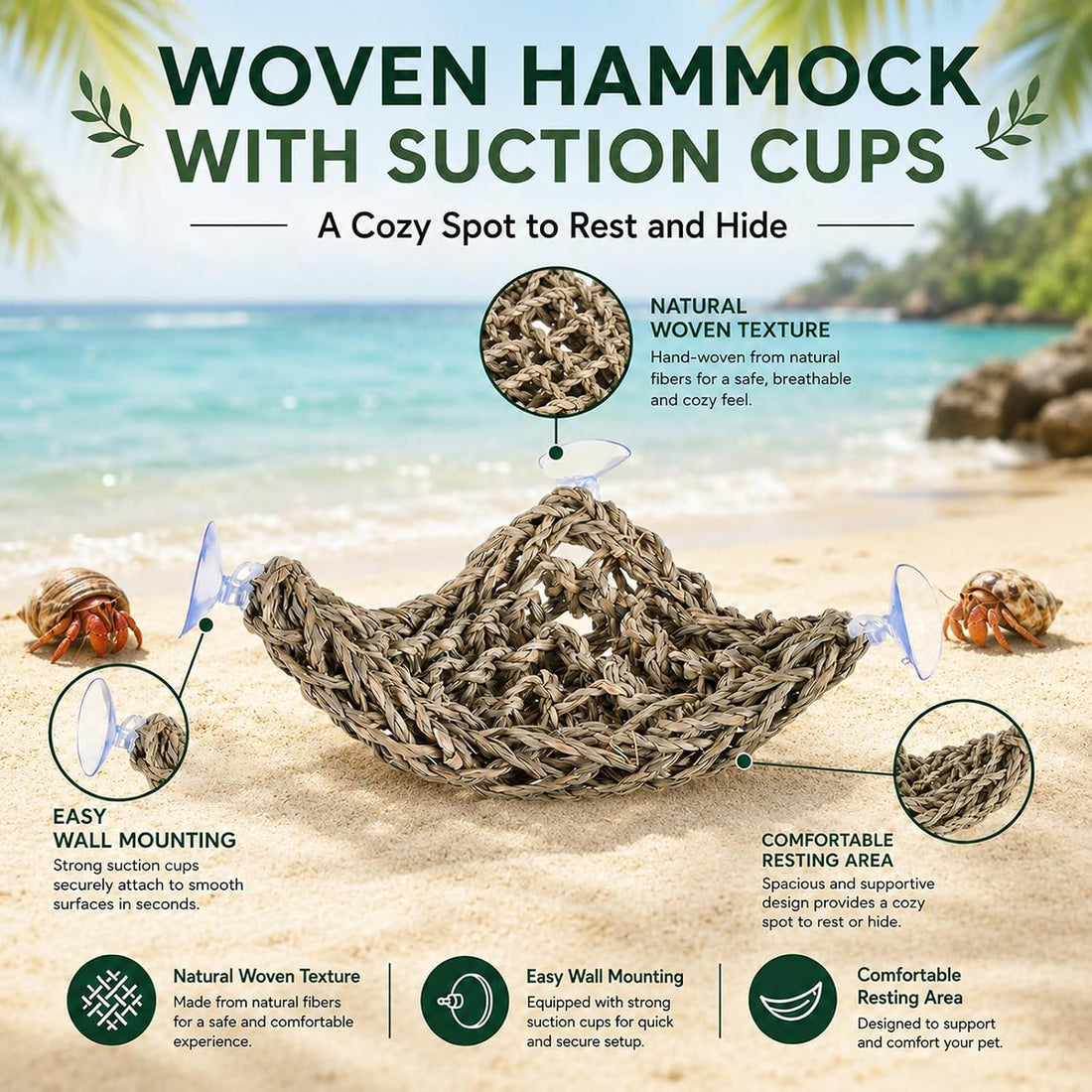 HERCCOCCI Hermit Crab Accessories