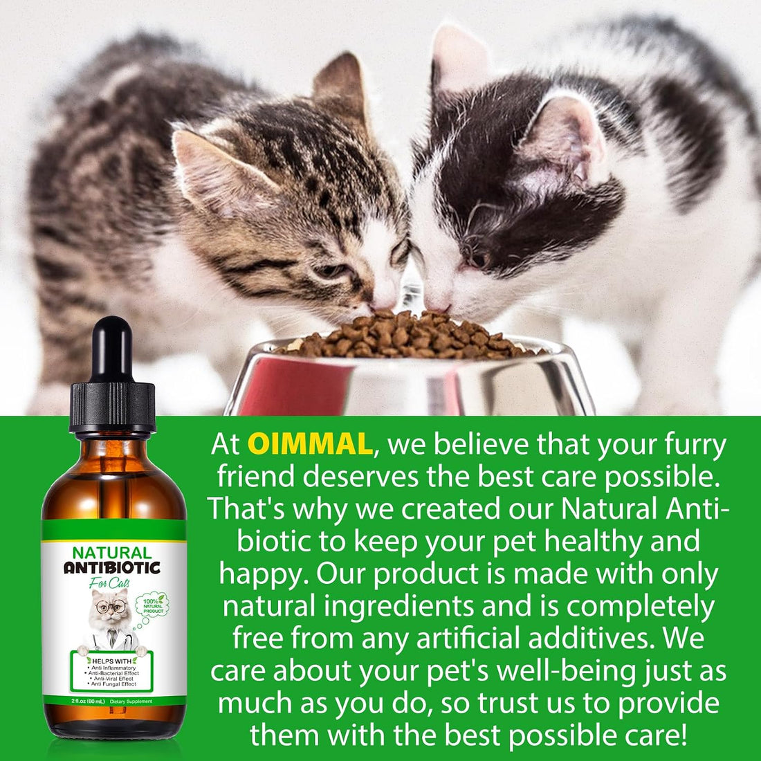 Antibiotics for Cats, Premium Cat Antibiotics Supplement