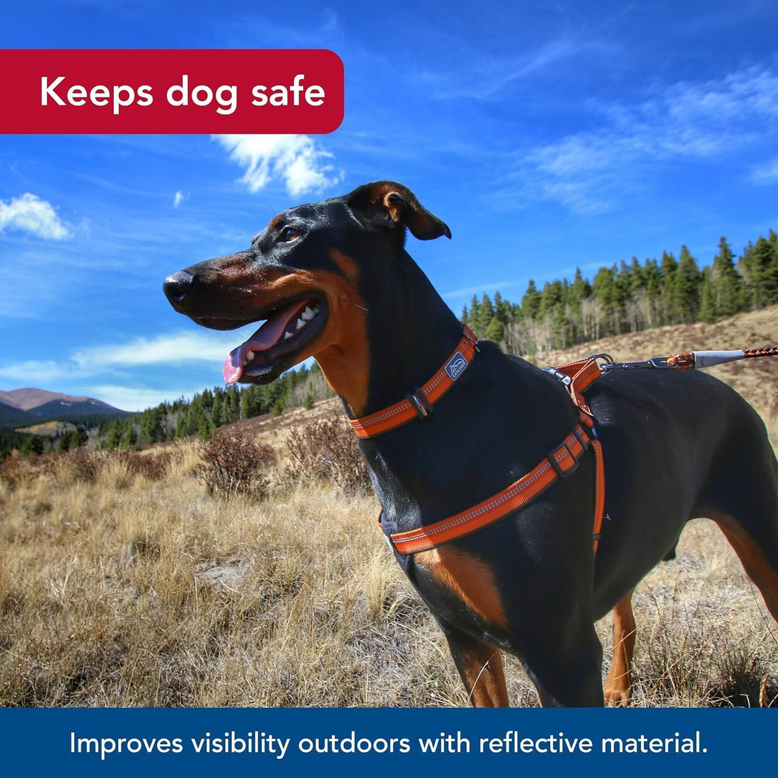 Coastal Pet K9 Explorer Reflective Adjustable Padded, 5/8" x 16" 24"