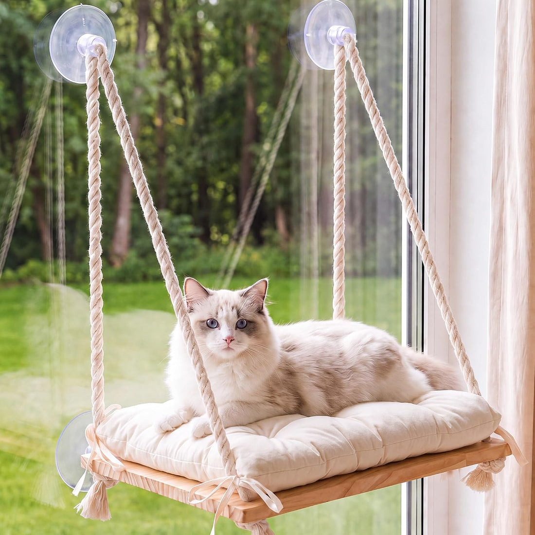 Cat Window Perch Hammock with Upgraded 4 Suction Cups Soft Cushion