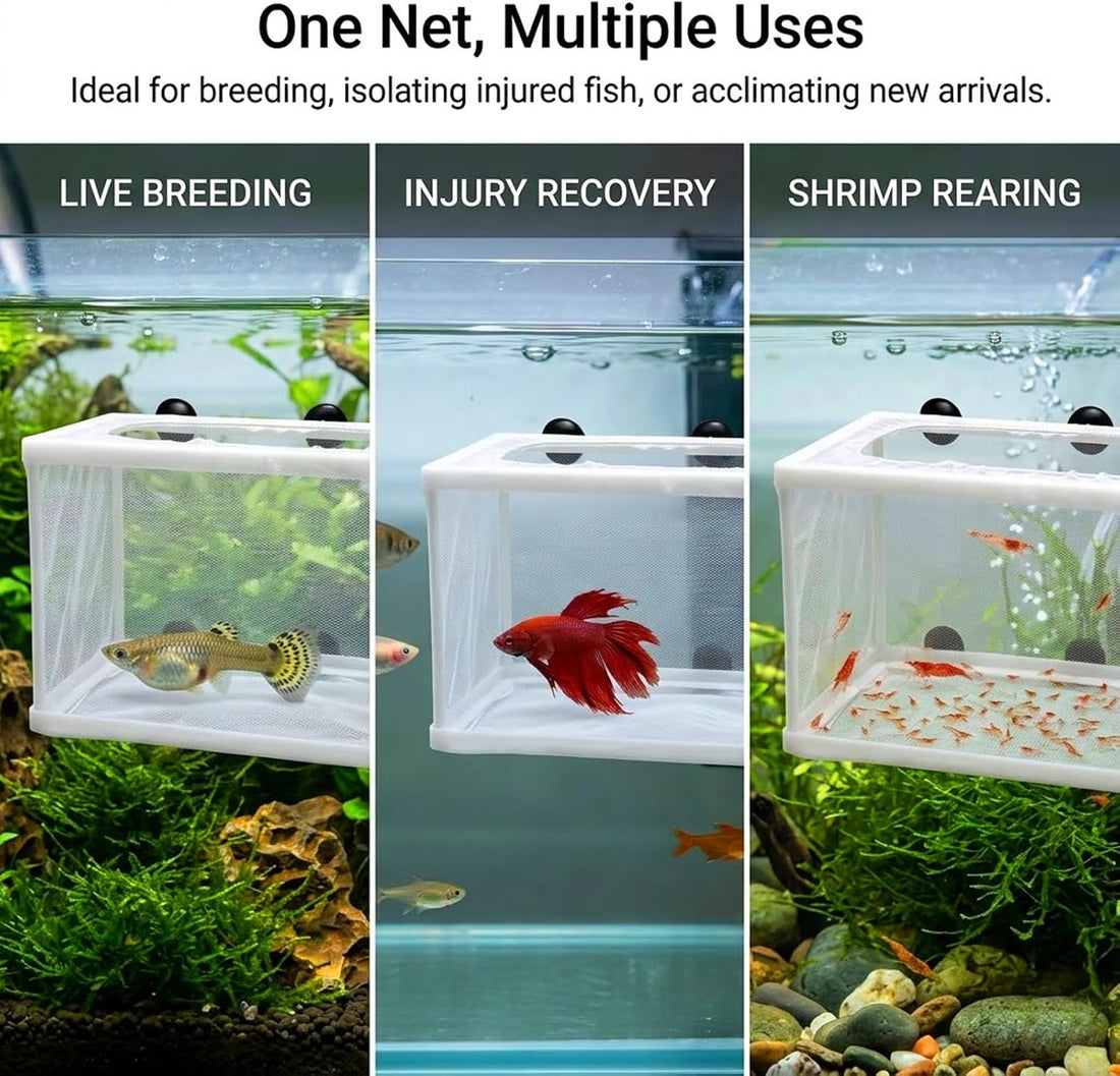 Anxingo 2 Pack Fish Tank Breeder Net,Fish Isolation Breeding Hatching