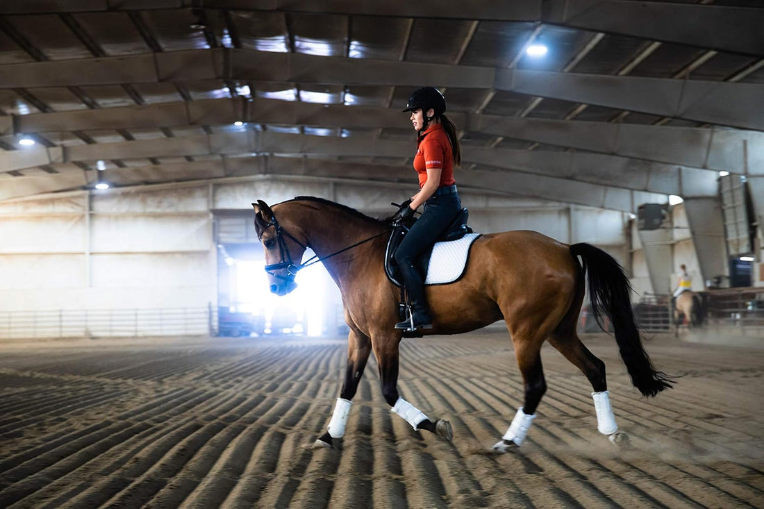 Pre-Performance Paste for Horses - All Natural Calmer, Acid Buffer