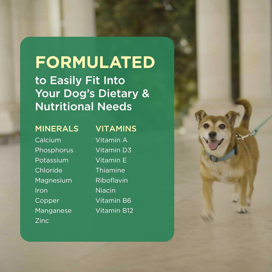 Pet-Tabs Multivitamin and Mineral Supplement for Dogs, Chewable Tablet