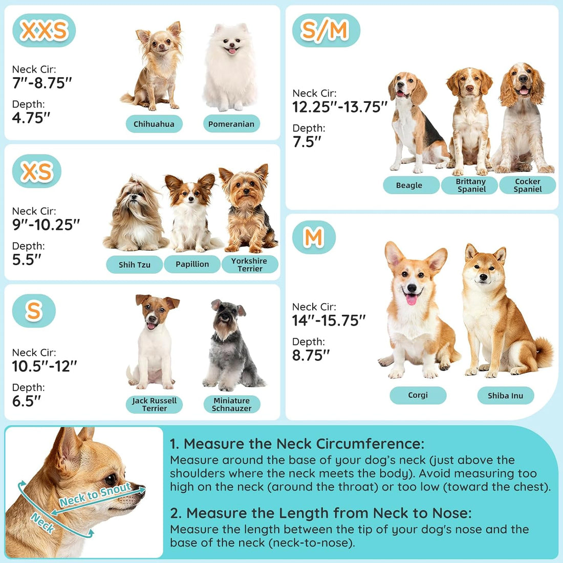 Clear Dog Cone for Small Dogs Chihuahua, E-Collar After Surgery