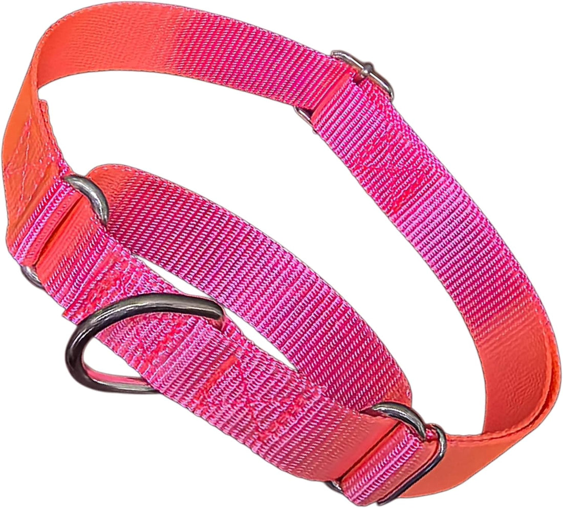 Martingale Collar for Dogs Choke Dog Choker Collars, Purple M