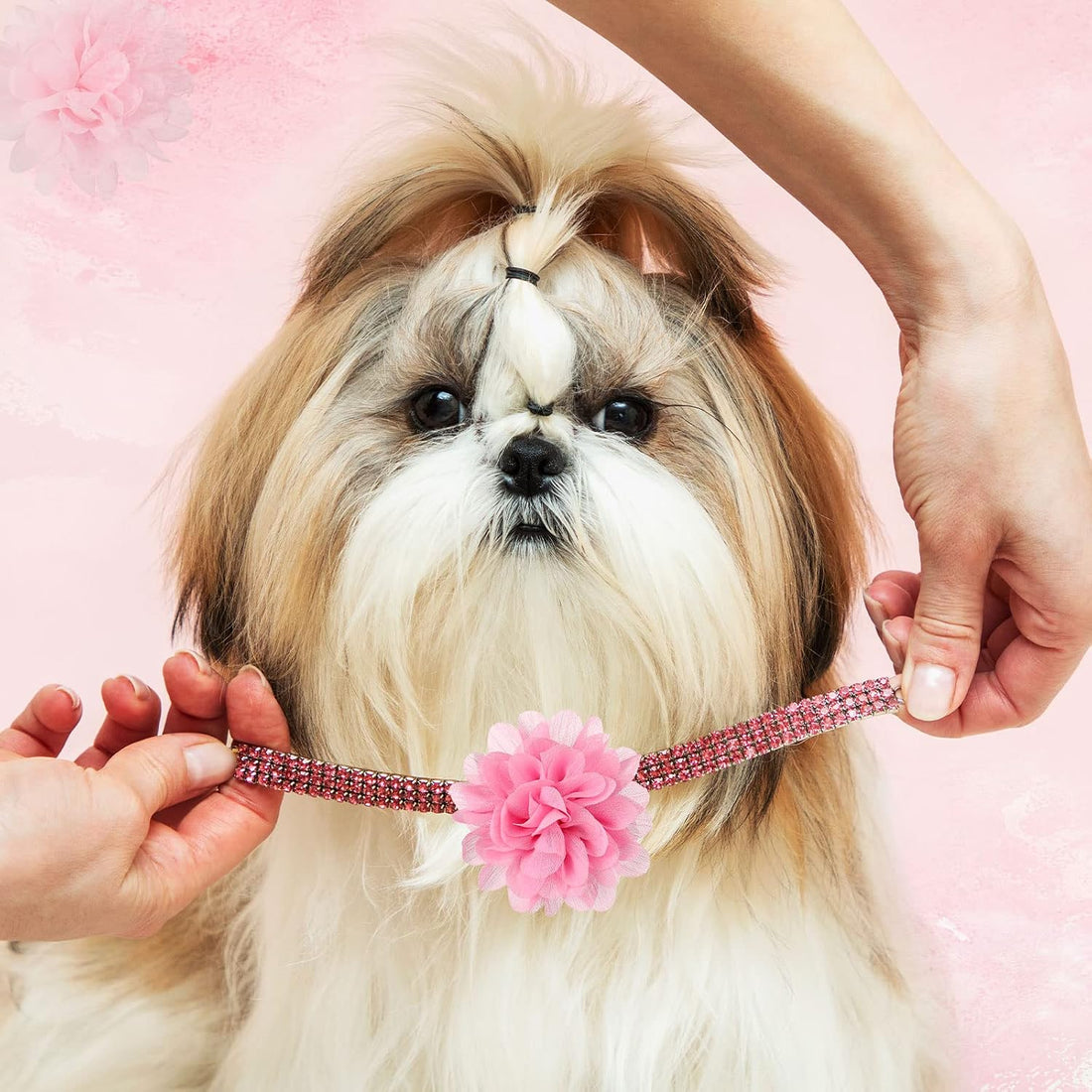 Hoteam 50 Pcs Dog Flower Collar Dog Collar Bows Pet Bow Charms Set