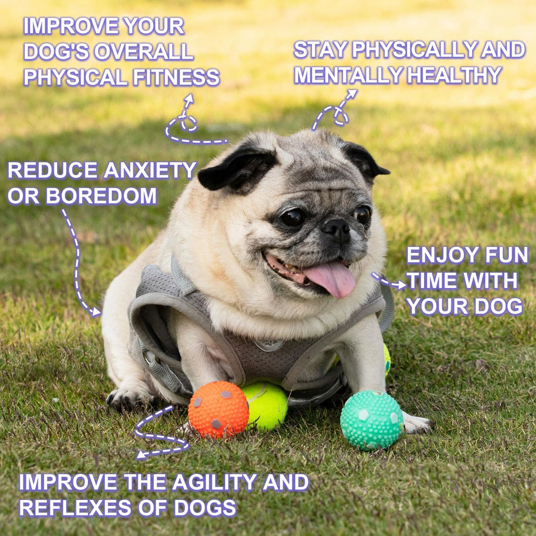 WIGGLYTAIL Dog Balls 12 Pcak