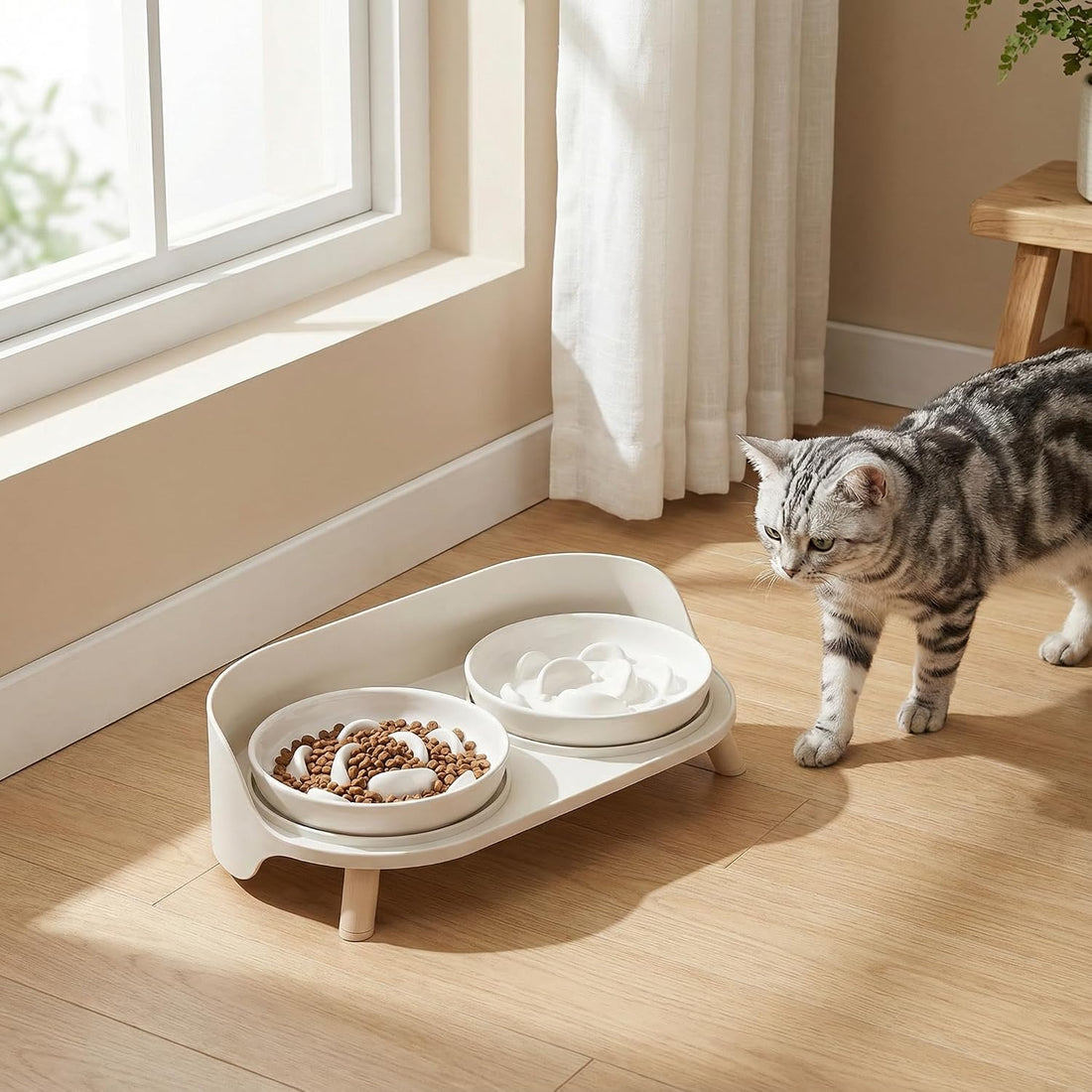 Raised Dog Feeder Bowl Stand