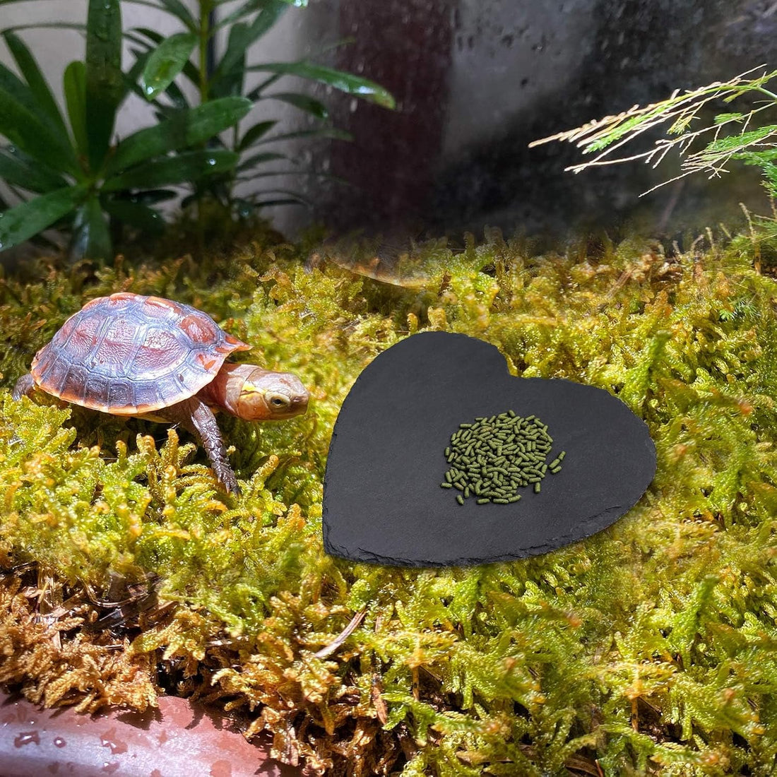 Reptile Basking Platform, 7.9 × 7.9 inch Tortoise Rock Plate