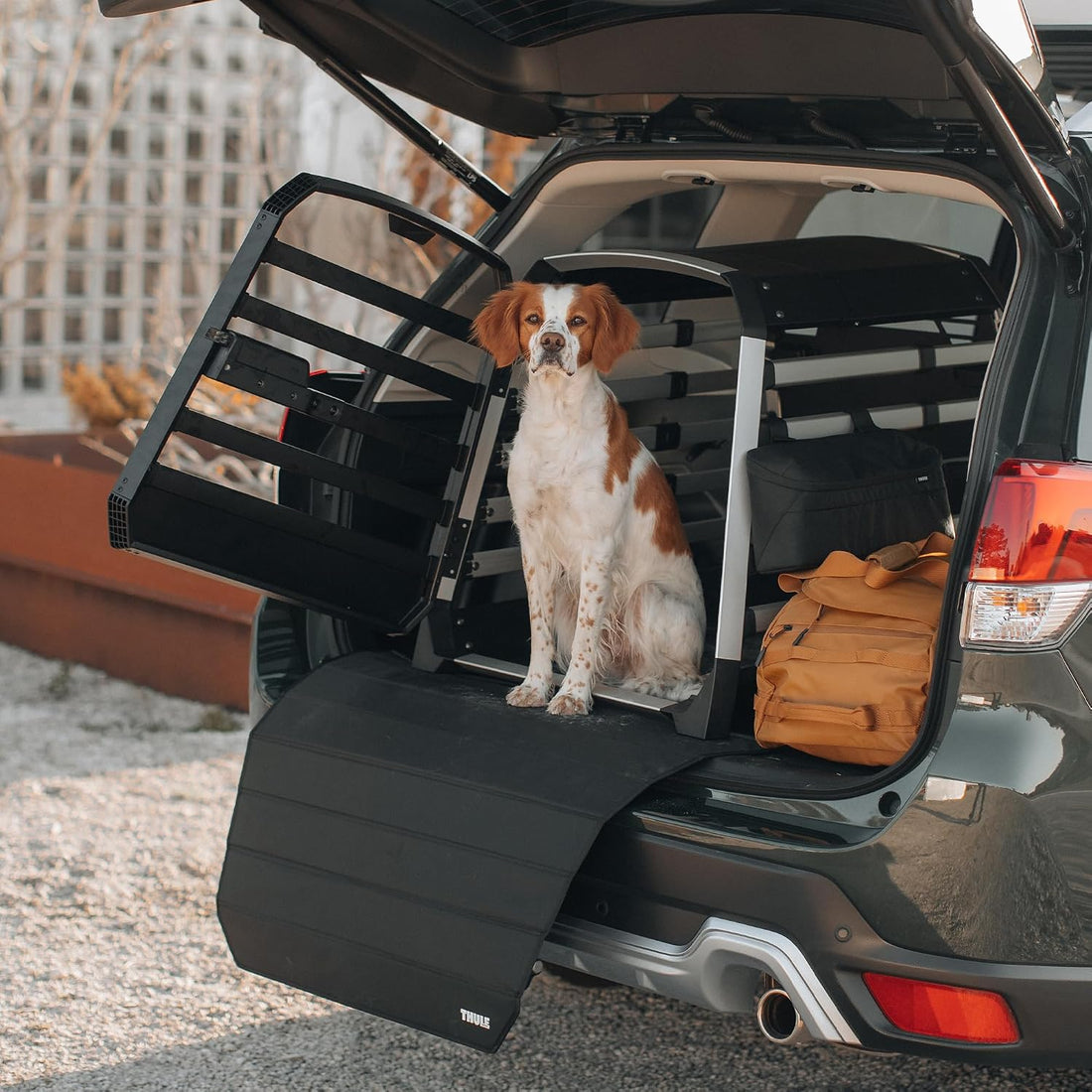 Thule Allax Dog Crate Bumper Protector