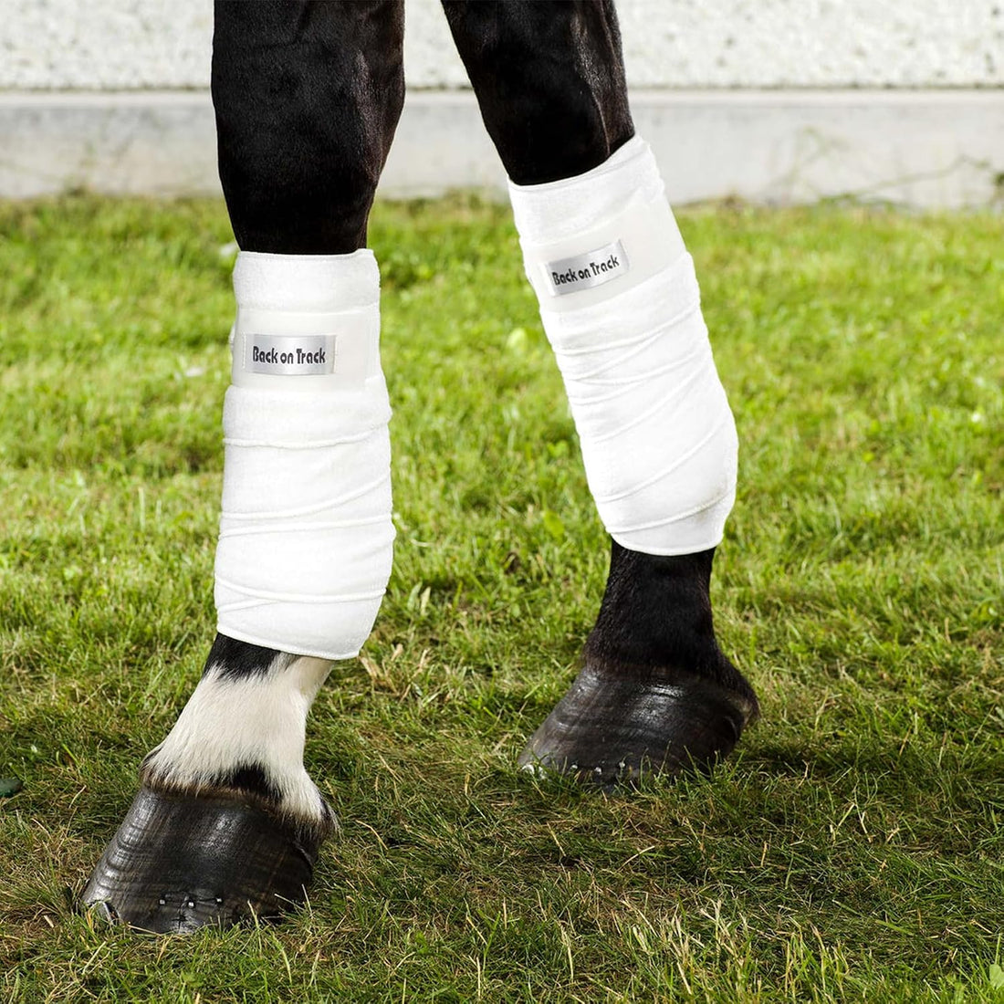 Back on Track Polo Leg Wraps for Horses - Fleece, Pair
