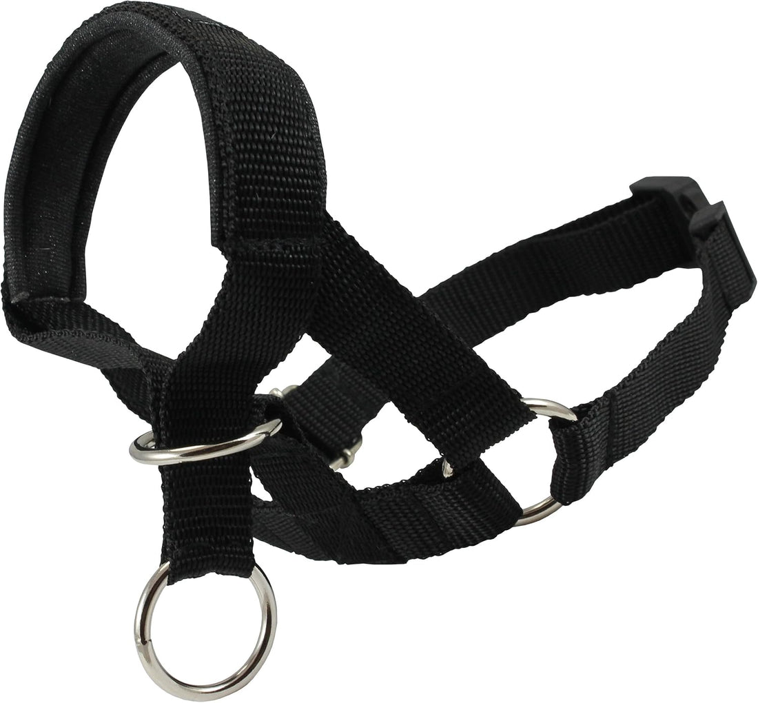 Dog Head Collar Halter Black (S 6.5inch8.25inch Snout)