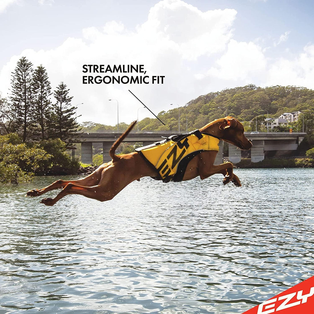 EzyDog DFD X2 Dog Life Jacket