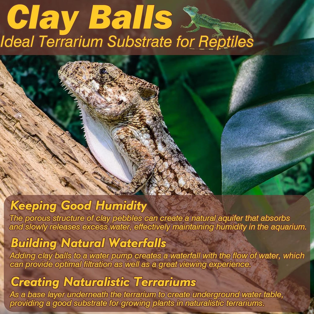 ZeeDix 2 LBS Leca Clay Balls for Reptile & Terrarium Substrate
