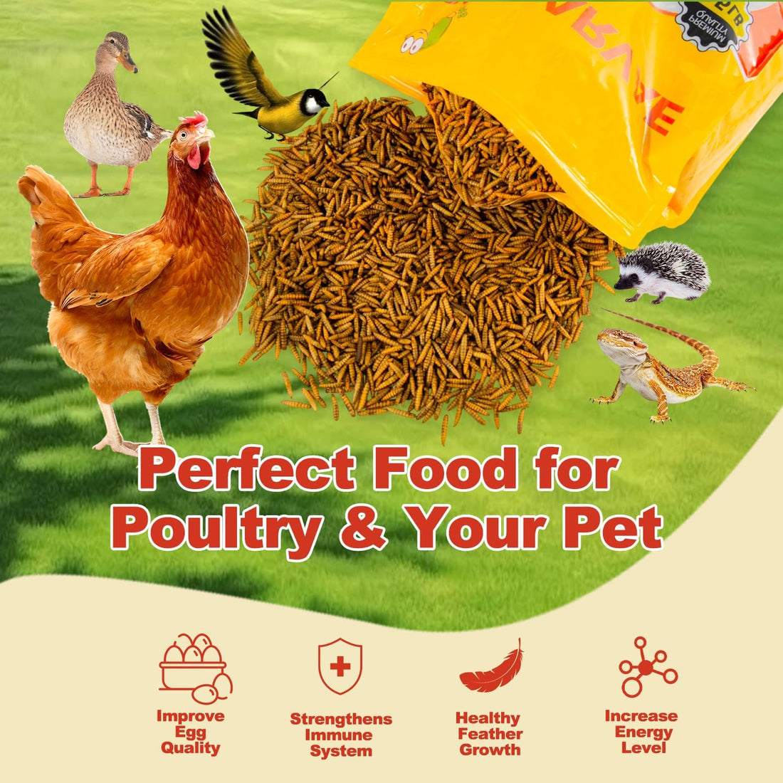 GOLDWORMS 10LB Dried Black Soldier Fly Larvae