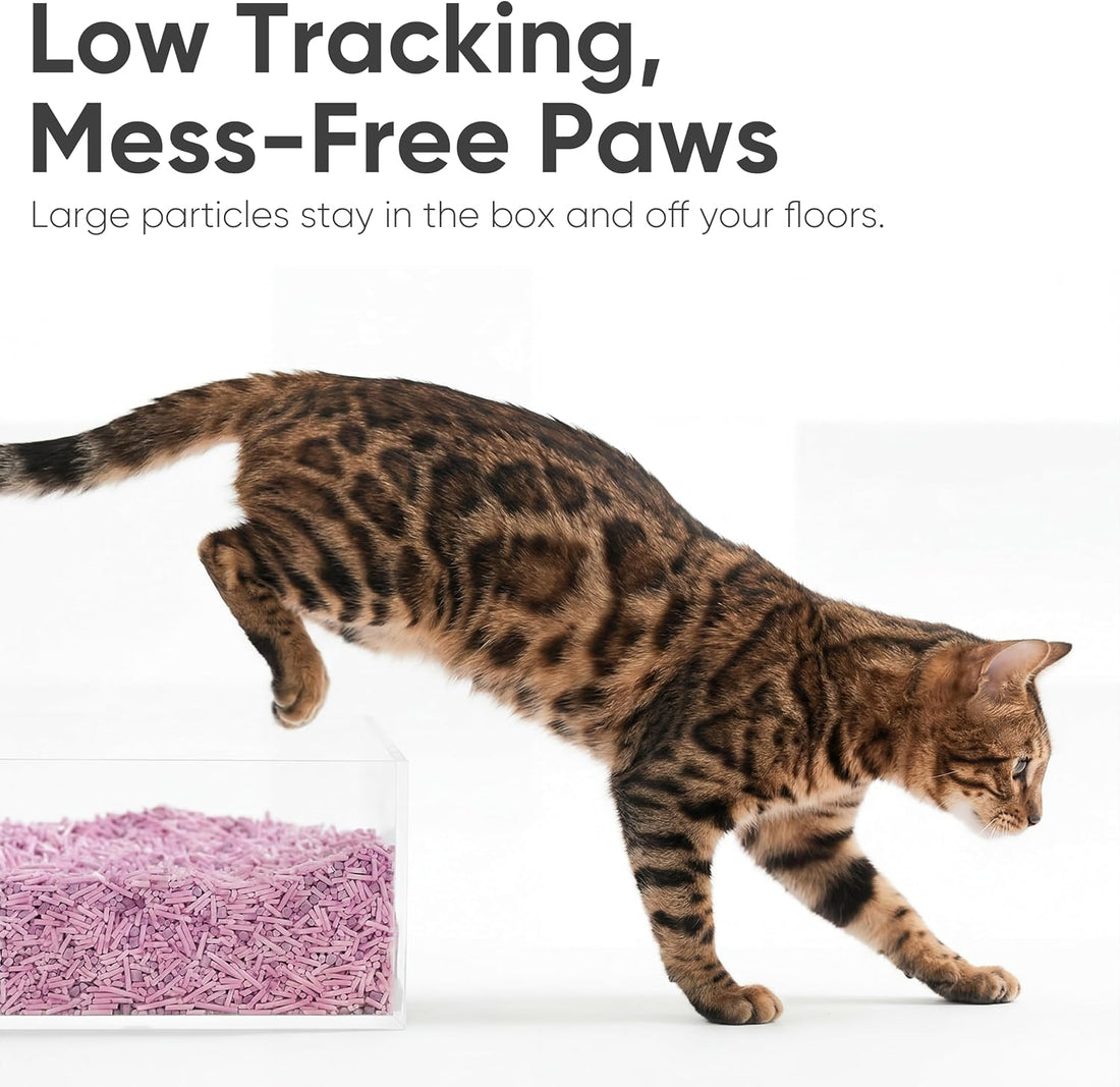 FUKUMARU Tofu Cat Litter, Lavender Scented, Clumping, Odor Control