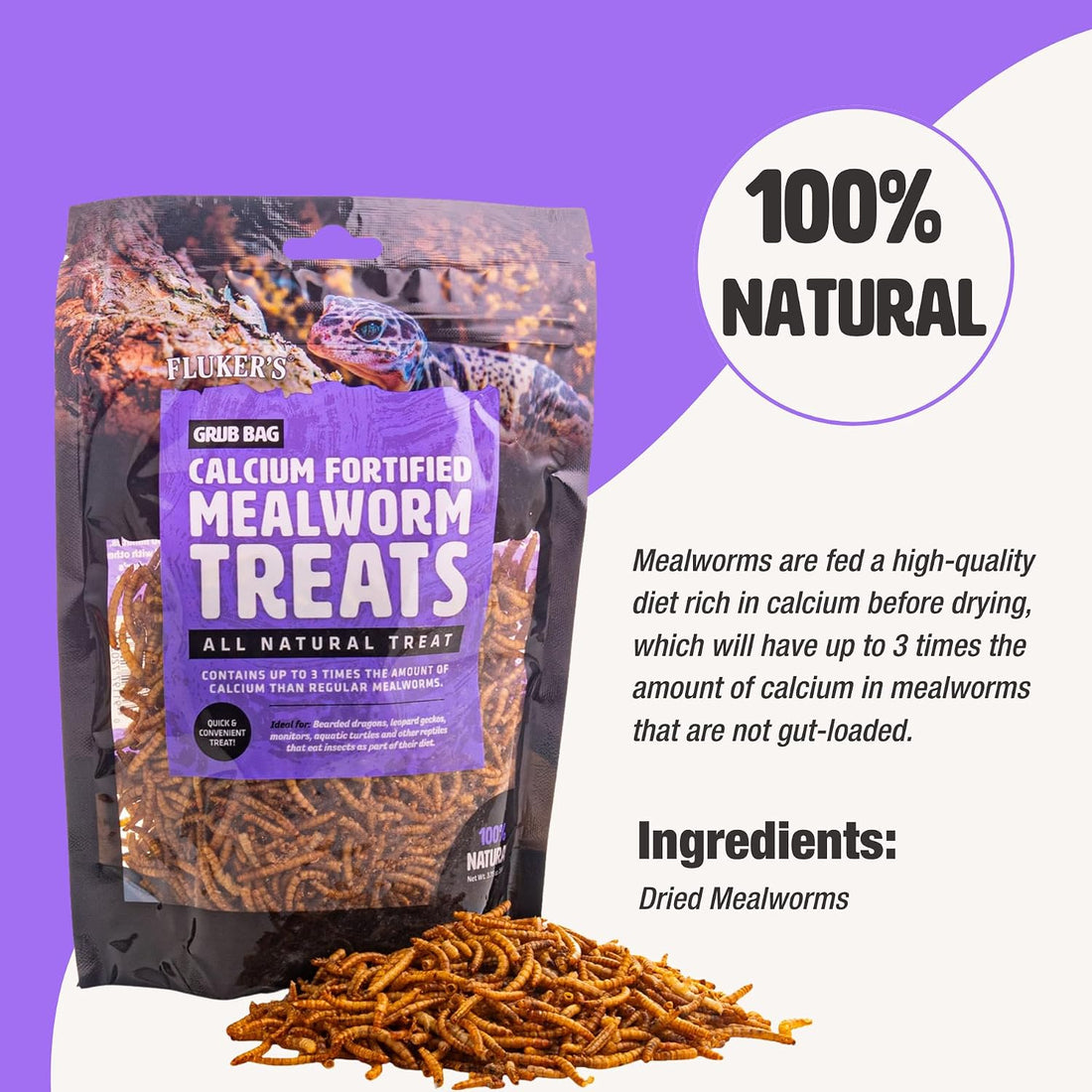Fluker’s Grub Bag All Natural Calcium Fortified Mealworm Treats