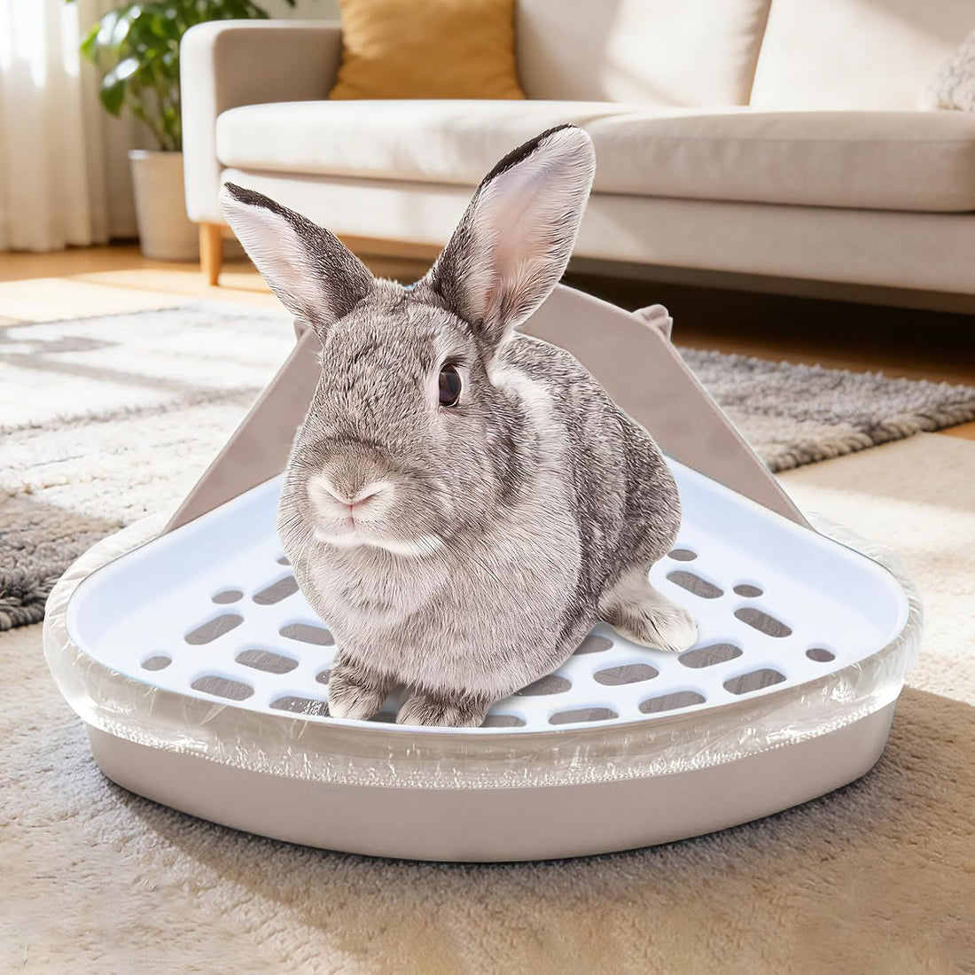 Disposable 50 pcs Small Animal Cage Liners