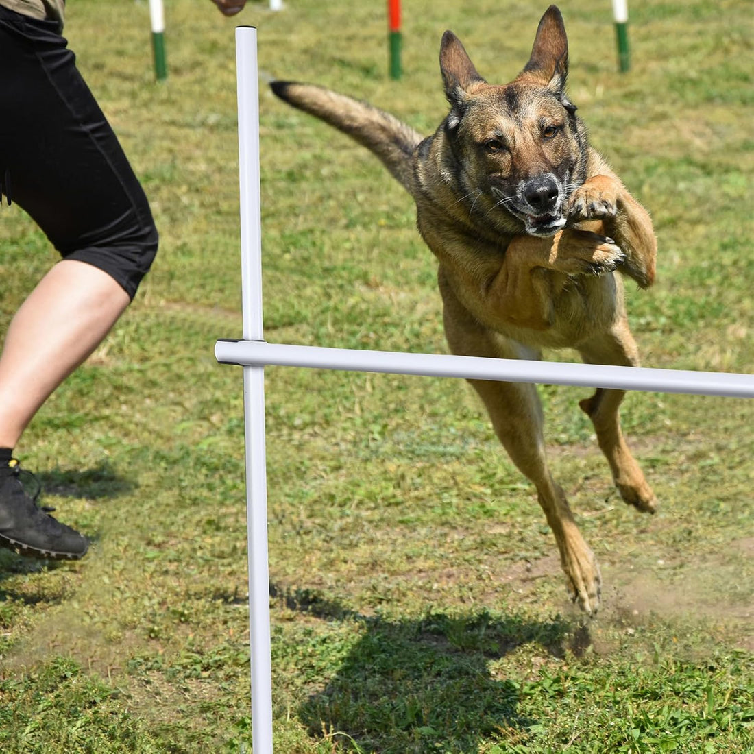 Shappy 4 Pcs Dog Agility Jumps Adjustable Height Hurdles with Bag