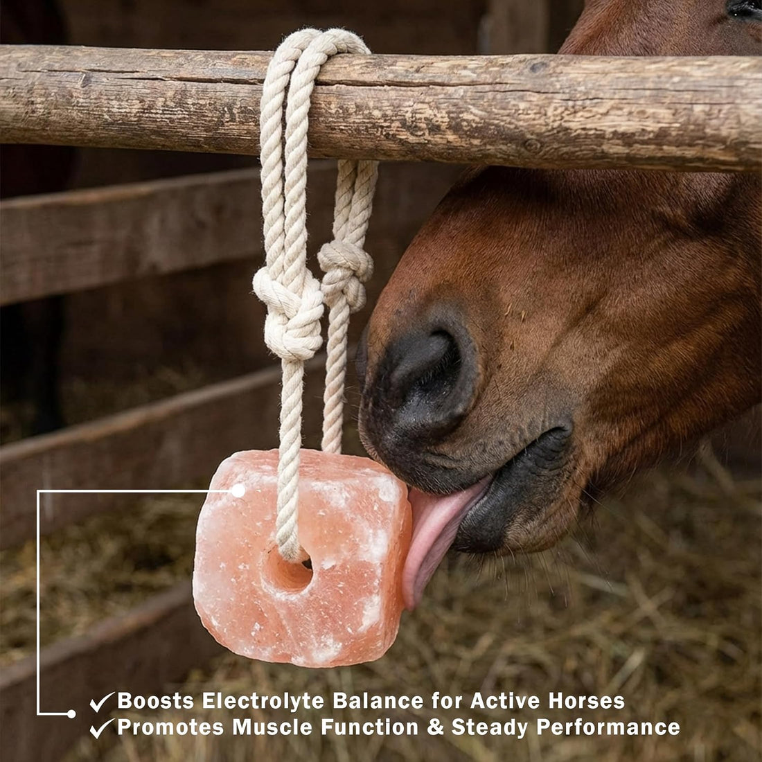100% Organic Himalayan Salt Lick Provides Essential Minerals for Your