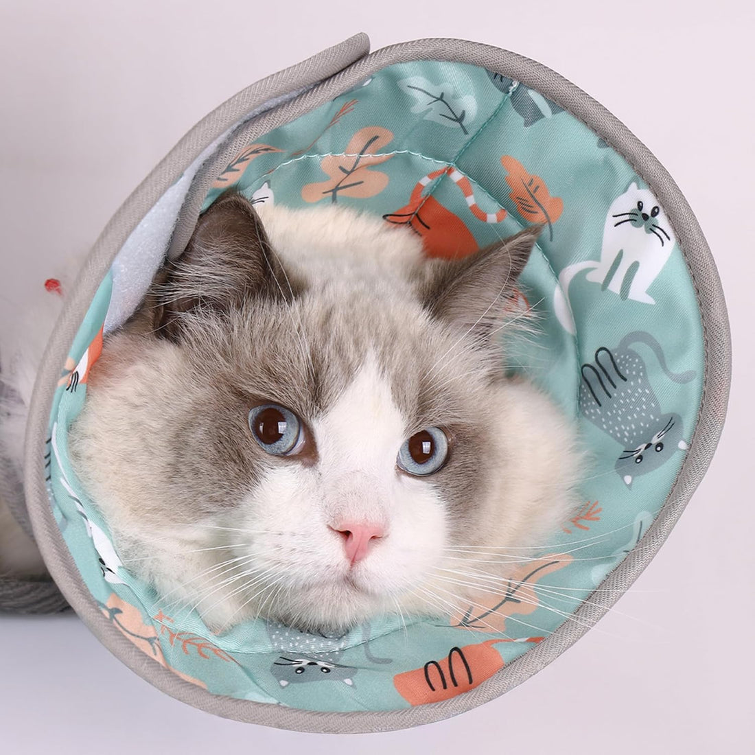 PawsPik Adjustable Soft Recovery Cone for Dogs & Cats, Small