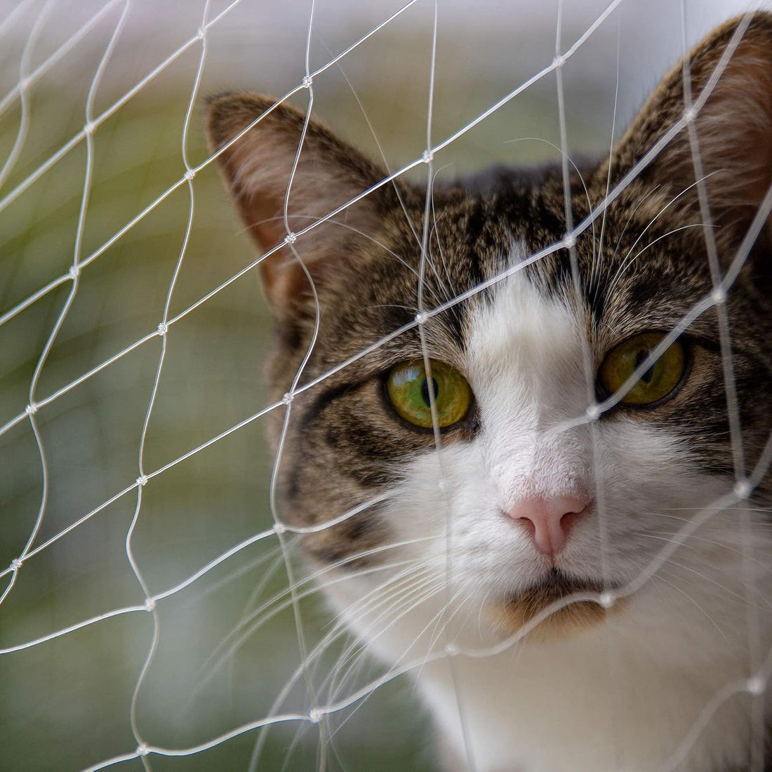 Cat Balcony Net Cat Anti-Fall Fence Net Dog Fence Nets Transparent