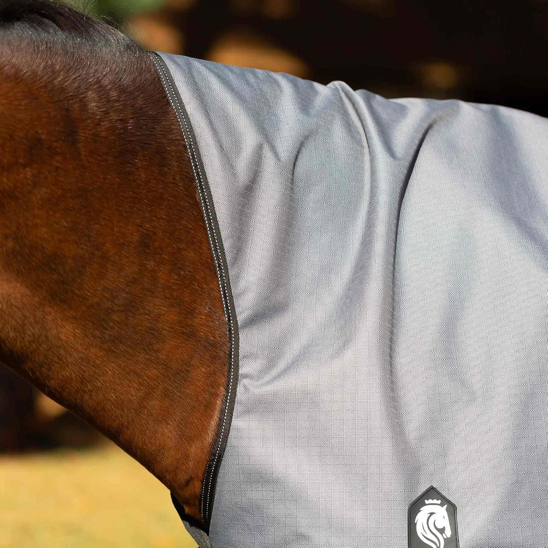 Equinavia Arktis Extended Neck Turnout Sheet - Charcoal Gray - 81 in