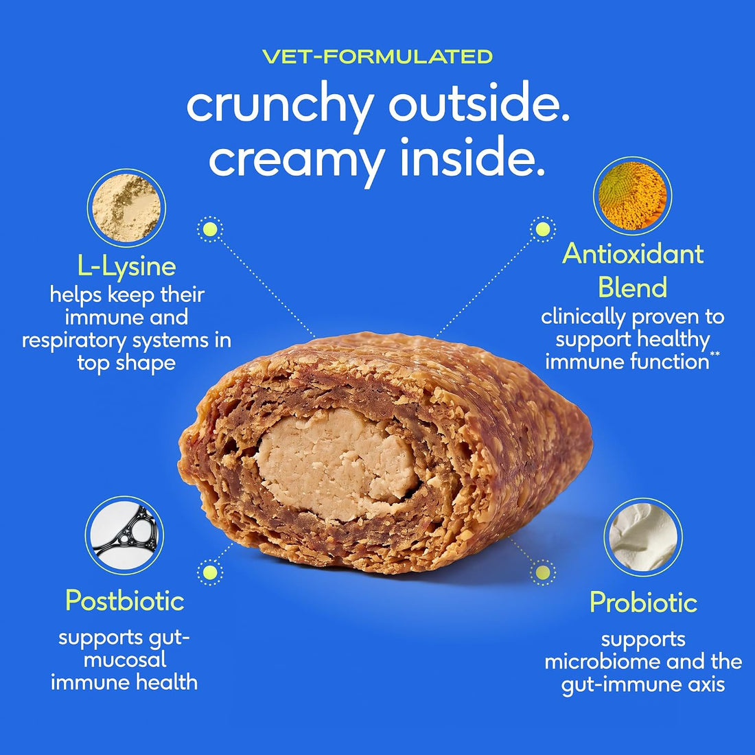 Native Pet Cat Immune Support - Chicken Flavored L-Lysine for Cats