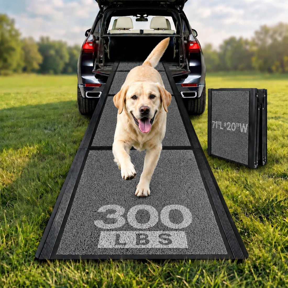 Dog Ramp for Large Pets, 71" L x 20" W