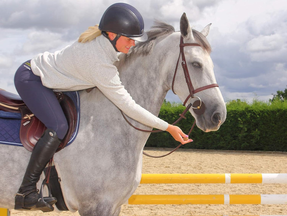 Kelcies Pumpkin Spice Horses Treats - Low Sugar, Starch