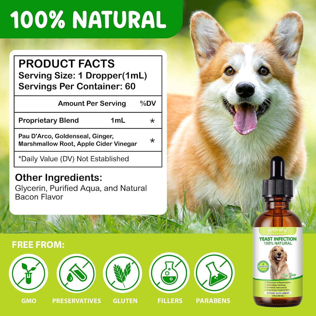 Yeast Infection Treatment for Dogs